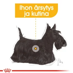 Mini Dermacomfort>Royal Canin Online
