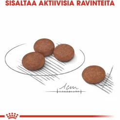 Mini Digestive Care>Royal Canin Discount