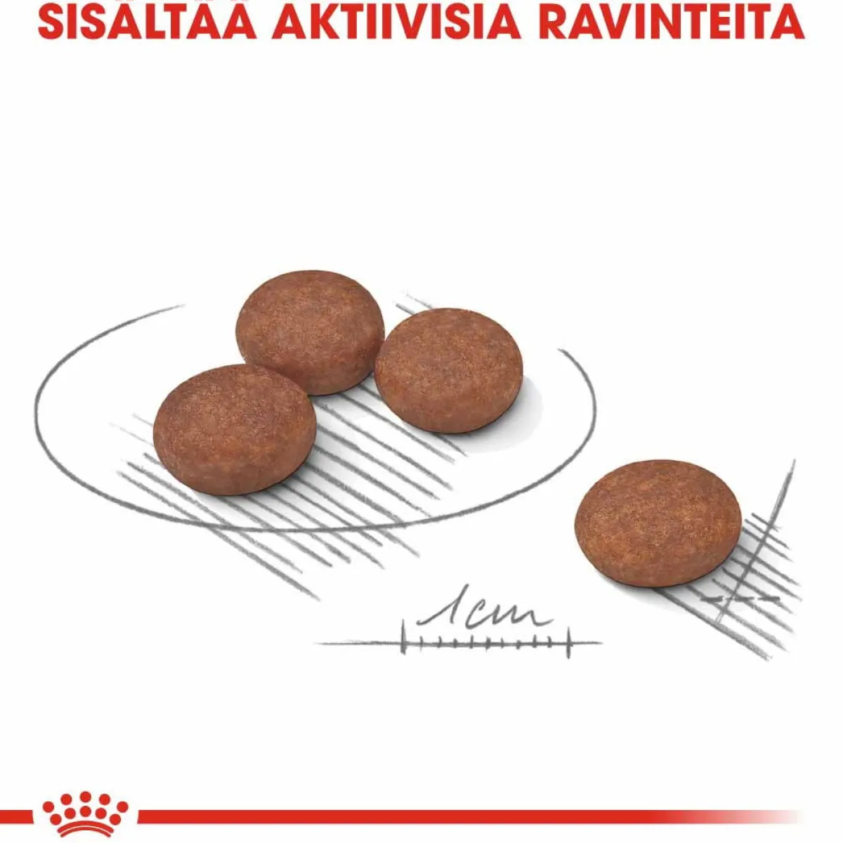 Mini Digestive Care>Royal Canin Discount