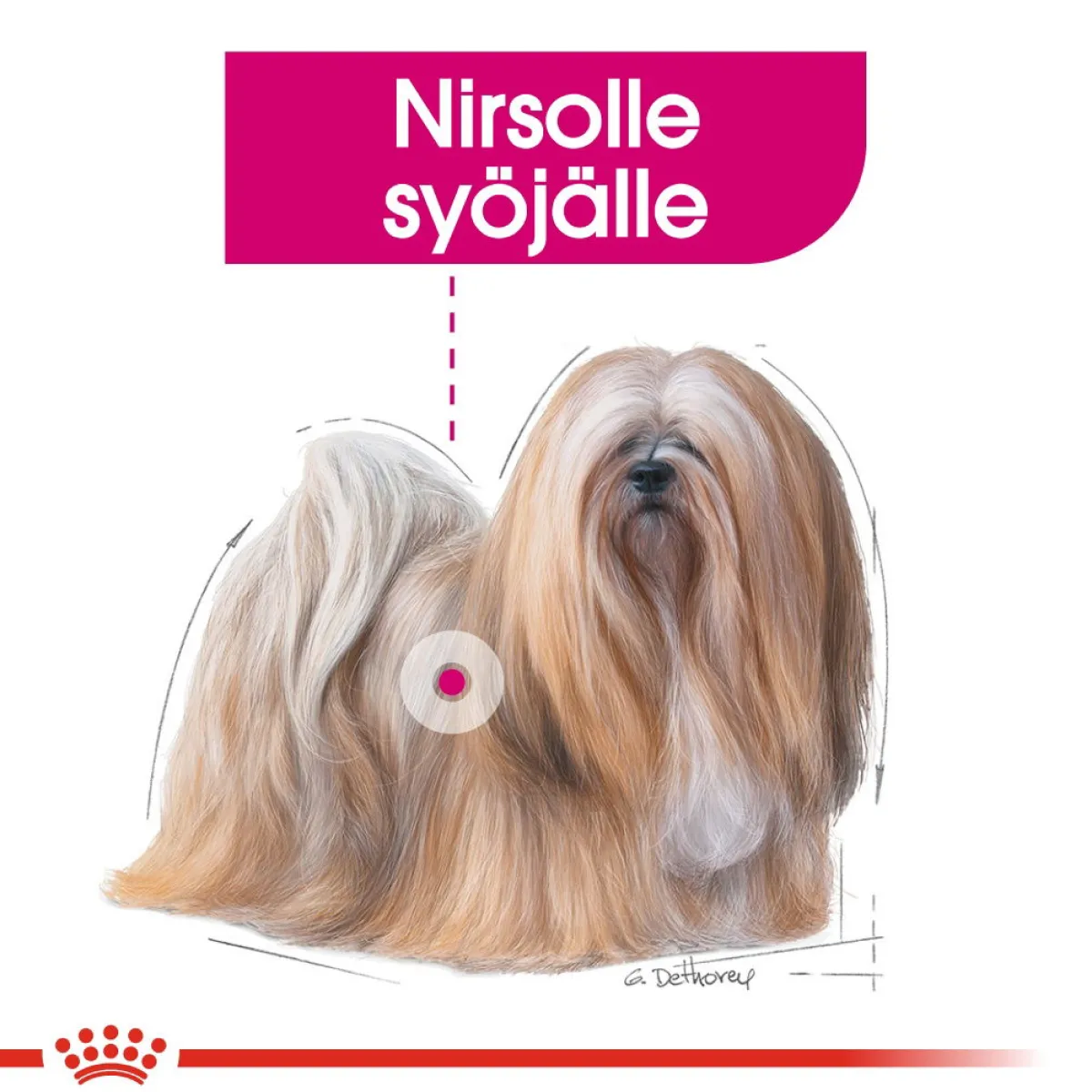 Mini Exigent>Royal Canin Sale