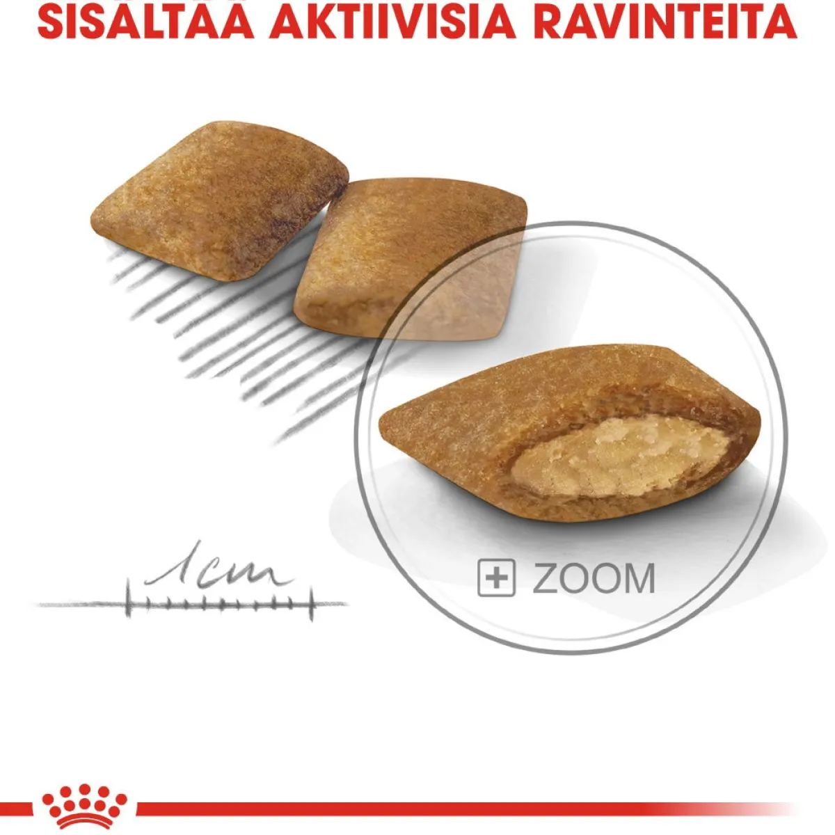 Mini Exigent>Royal Canin Sale
