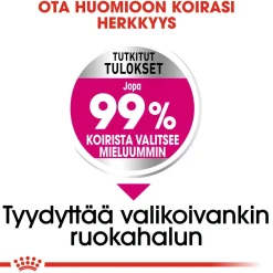 Mini Exigent>Royal Canin Sale