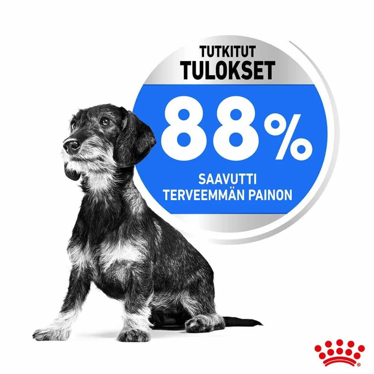 Mini Light Weight Care>Royal Canin Sale