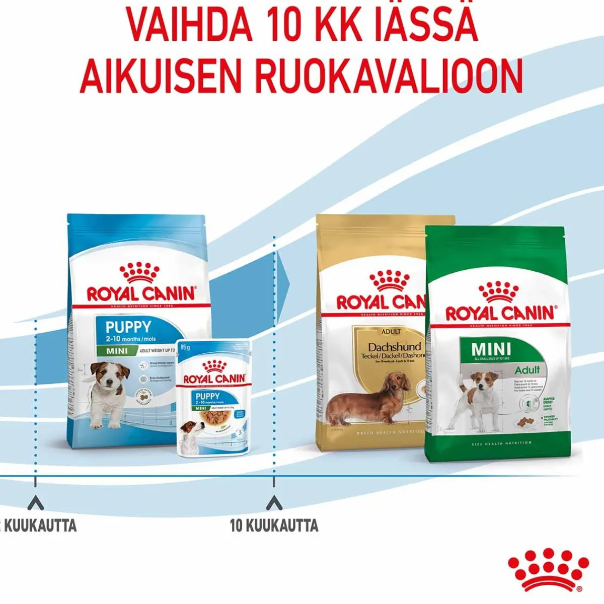 Mini Puppy>Royal Canin Online
