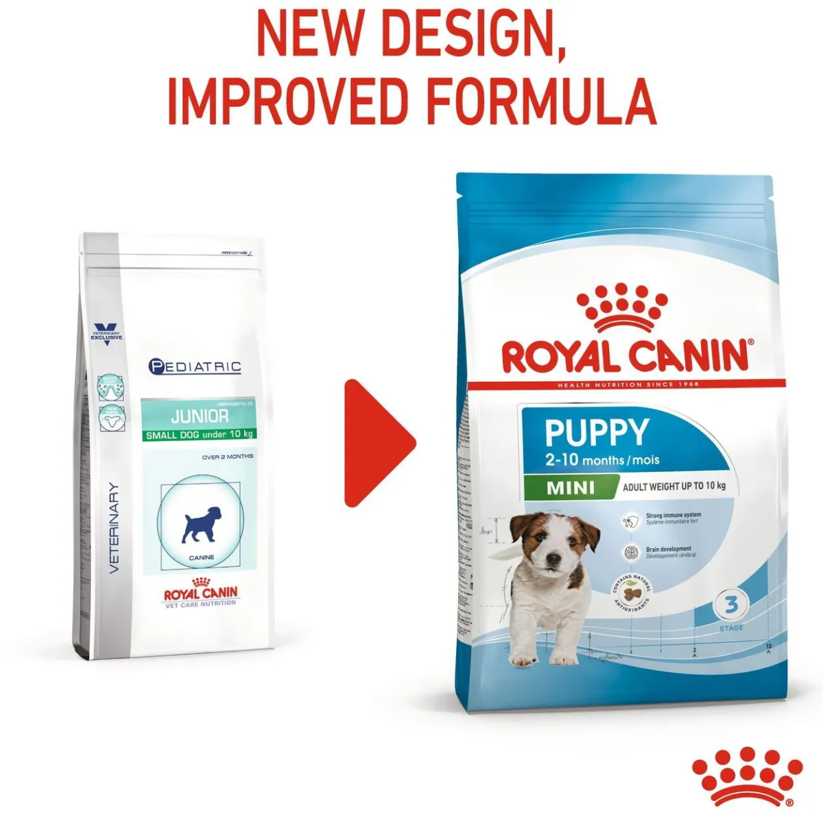 Mini Puppy>Royal Canin Online