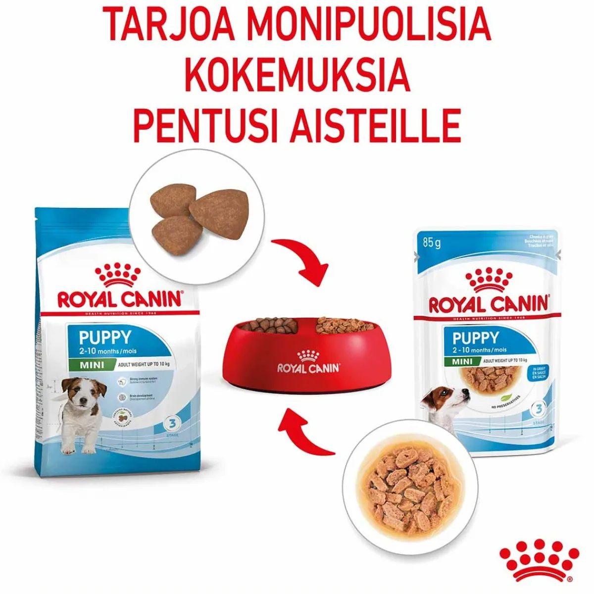 Mini Puppy Wet 12 x 85 g>Royal Canin Discount