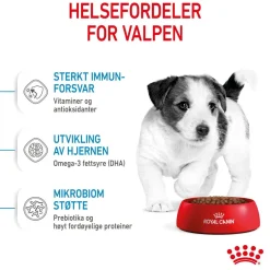 Mini Puppy 2 x 8kg>Royal Canin Discount