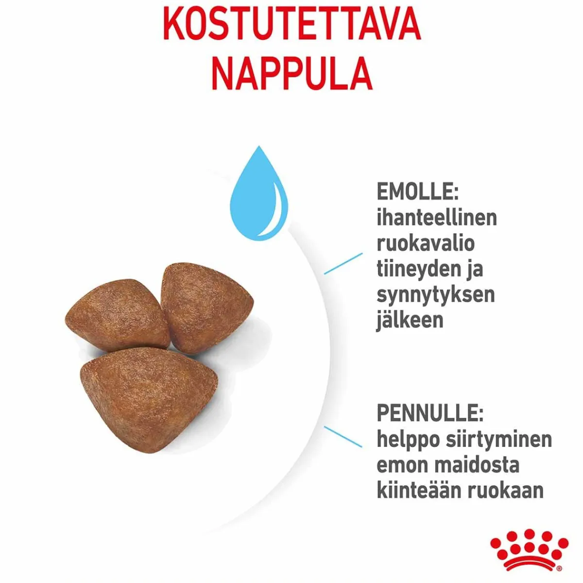 Mini Starter>Royal Canin Sale