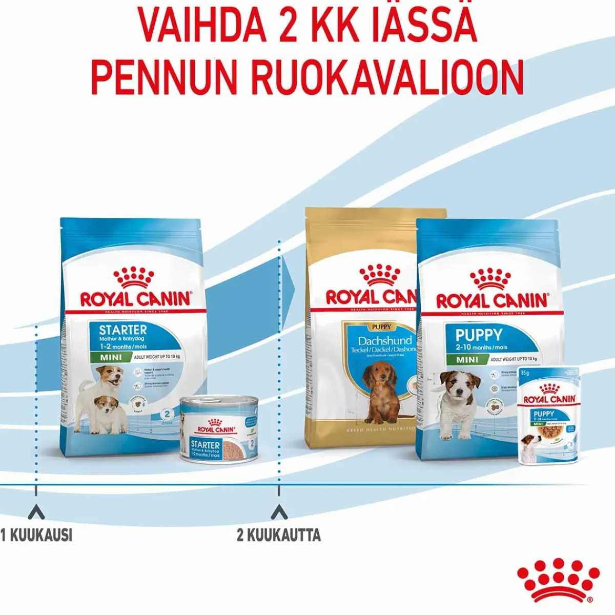 Mini Starter>Royal Canin Sale