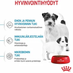 Mini Starter>Royal Canin Sale