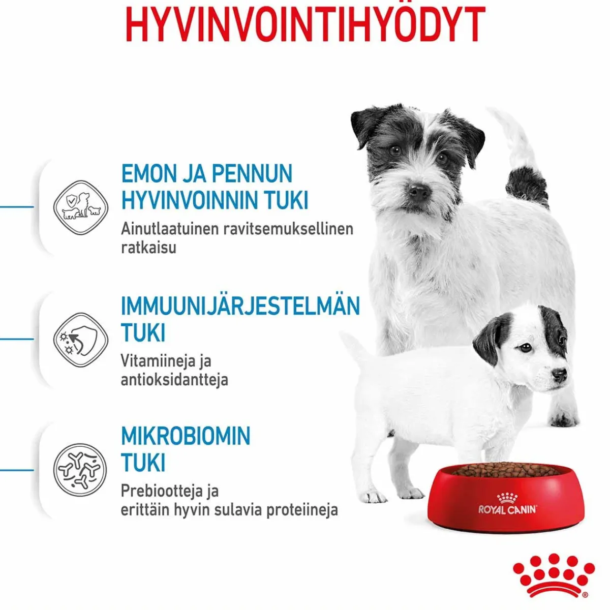 Mini Starter>Royal Canin Sale