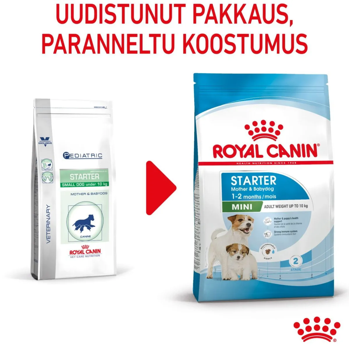 Mini Starter>Royal Canin Sale