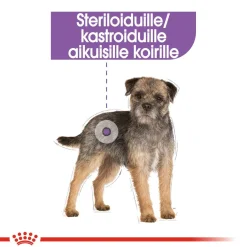 Mini Sterilised>Royal Canin Best