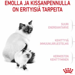 Mother & Babycat>Royal Canin