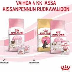 Mother & Babycat>Royal Canin