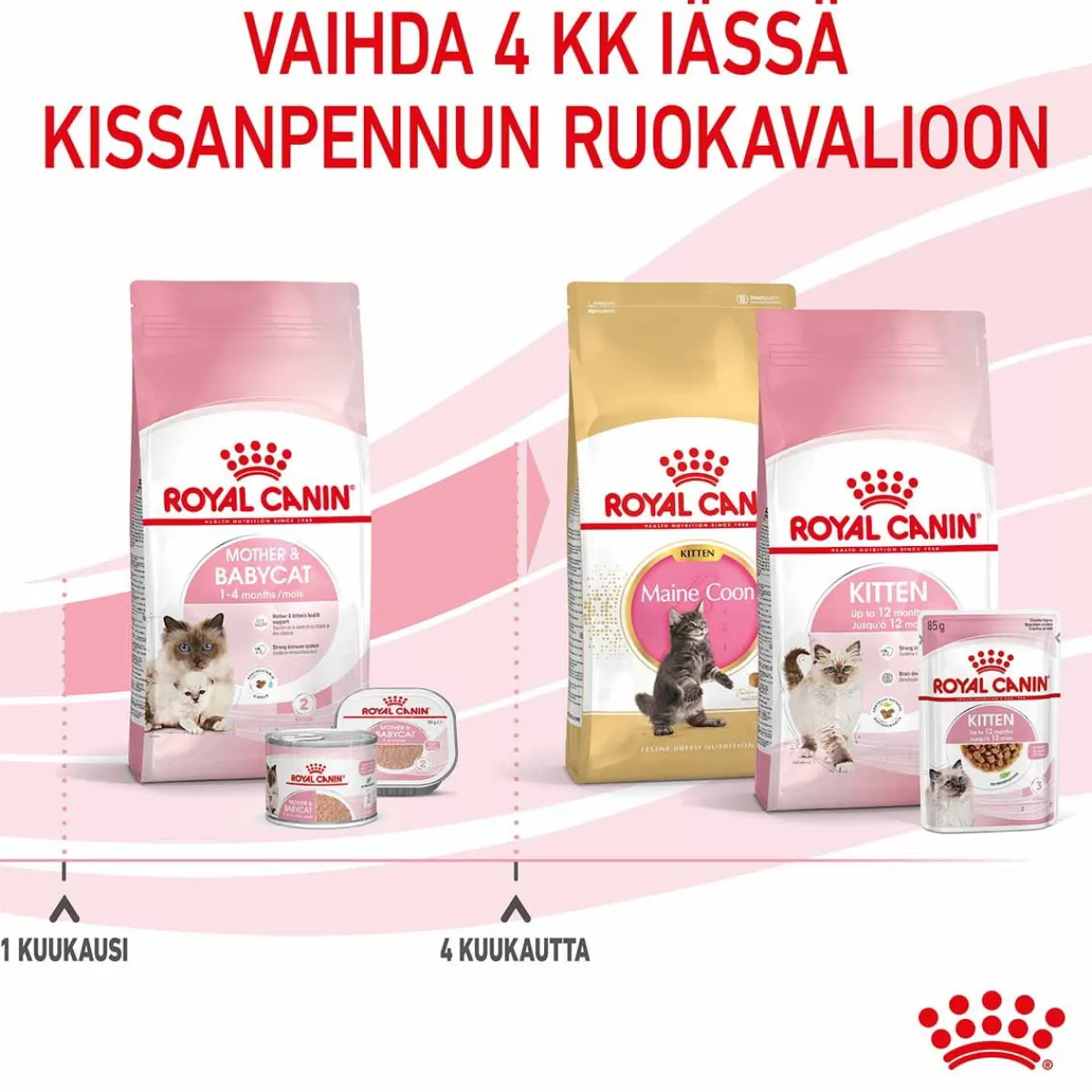 Mother & Babycat>Royal Canin