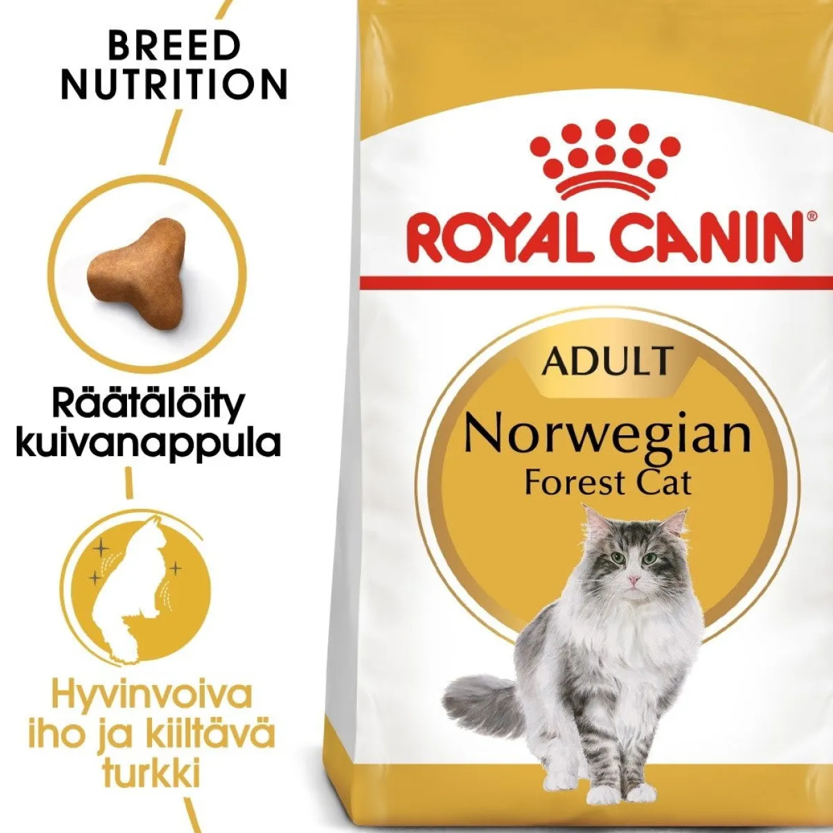 Norwegian Forest Cat>Royal Canin Outlet