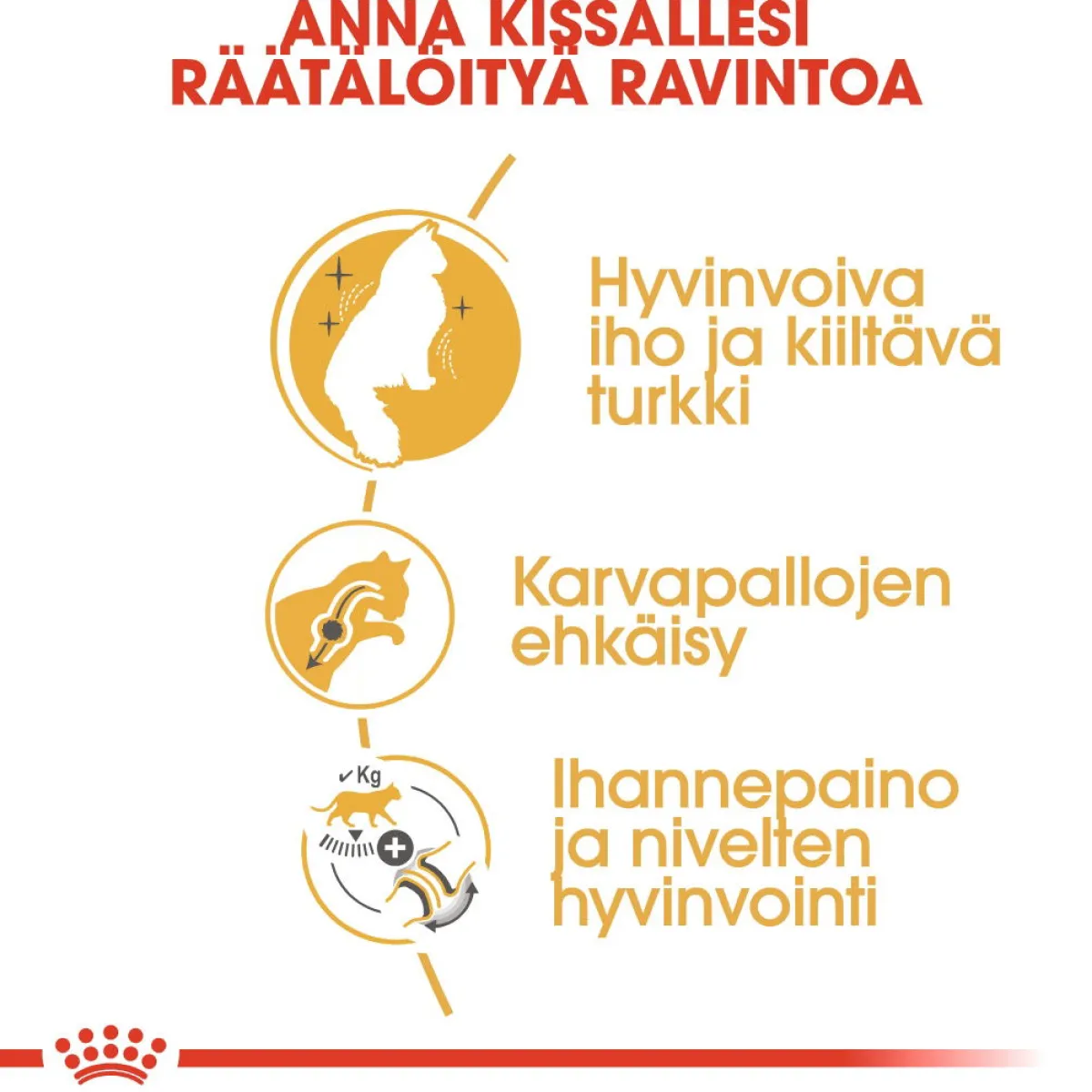 Norwegian Forest Cat>Royal Canin Outlet