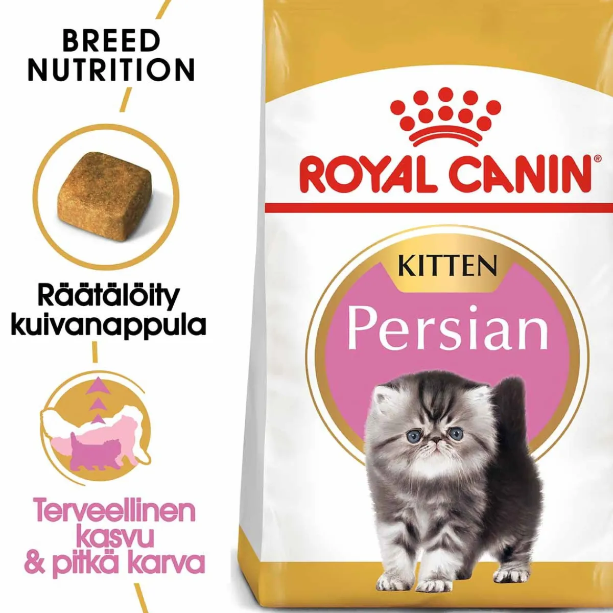 Persian Kitten>Royal Canin Online