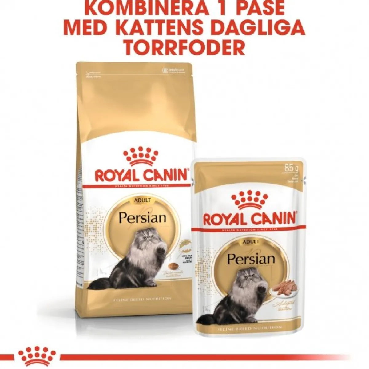 Persian Loaf 85g, 48-pack>Royal Canin Best