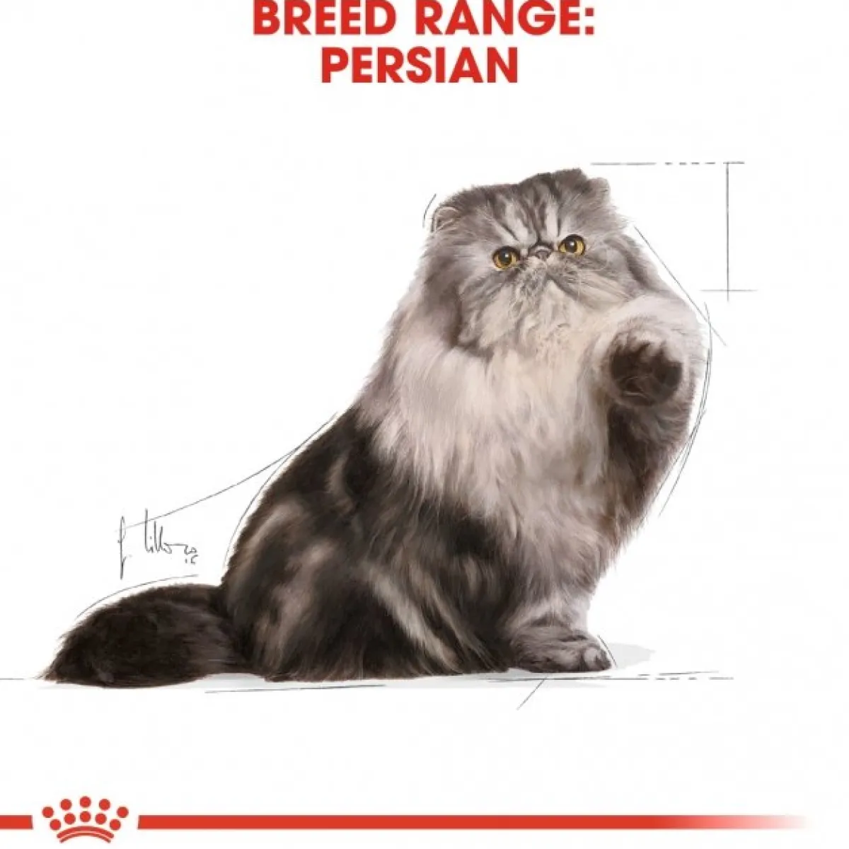 Persian Loaf 85g, 48-pack>Royal Canin Best