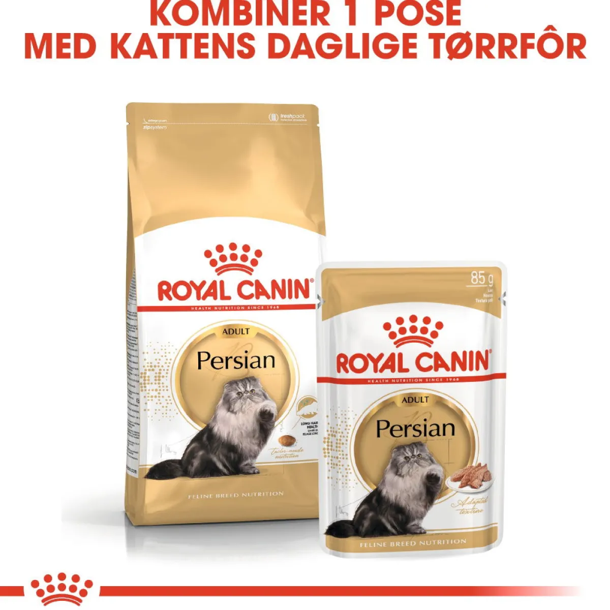 Persian Loaf 85g, 48-pack>Royal Canin Best