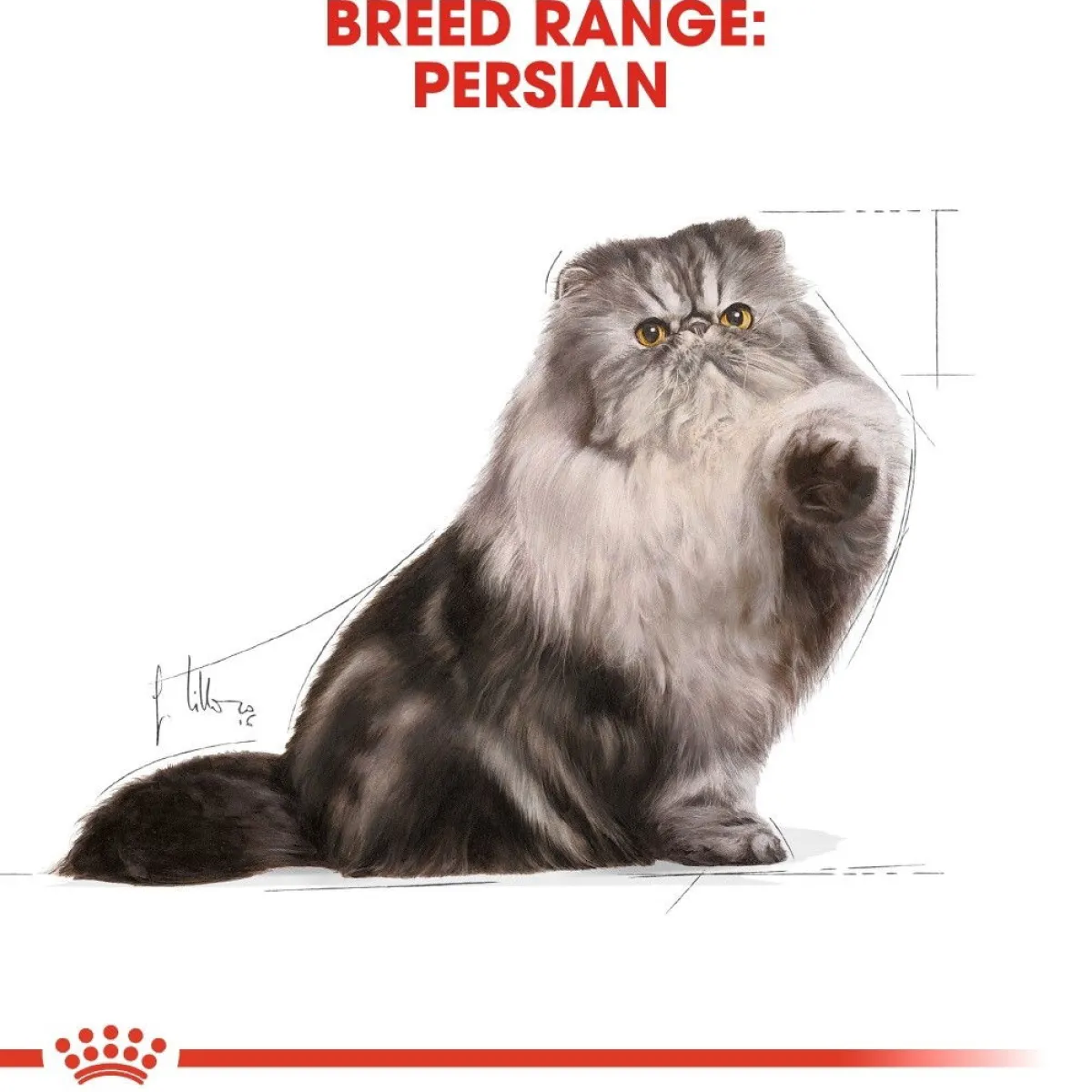 Persian Loaf 85g, 48-pack>Royal Canin Best