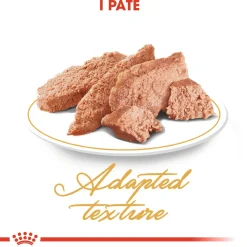 Persian Loaf 85g, 48-pack>Royal Canin Best