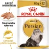 Persian Wet>Royal Canin Sale