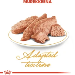 Persian Wet>Royal Canin Sale