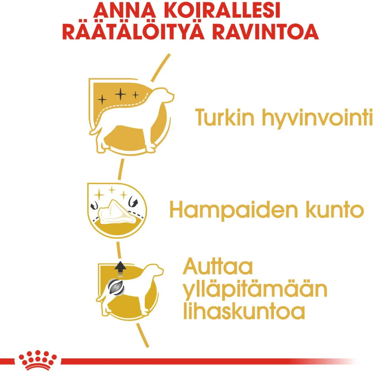 Poodle Adult>Royal Canin Sale