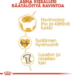 Ragdoll>Royal Canin New