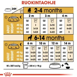 Rottweiler Puppy 12 kg>Royal Canin Sale
