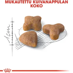 Sensible>Royal Canin Online