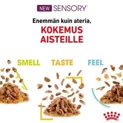 Sensory Feel Gravy 85g, 48-pack>Royal Canin Discount