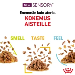 Sensory Feel Gravy 85g, 48-pack>Royal Canin Discount