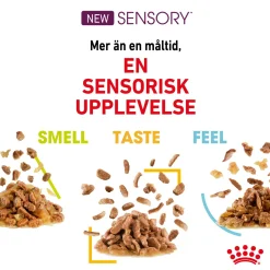 Sensory Mixed box Gravy 85g, 48-pack>Royal Canin Sale
