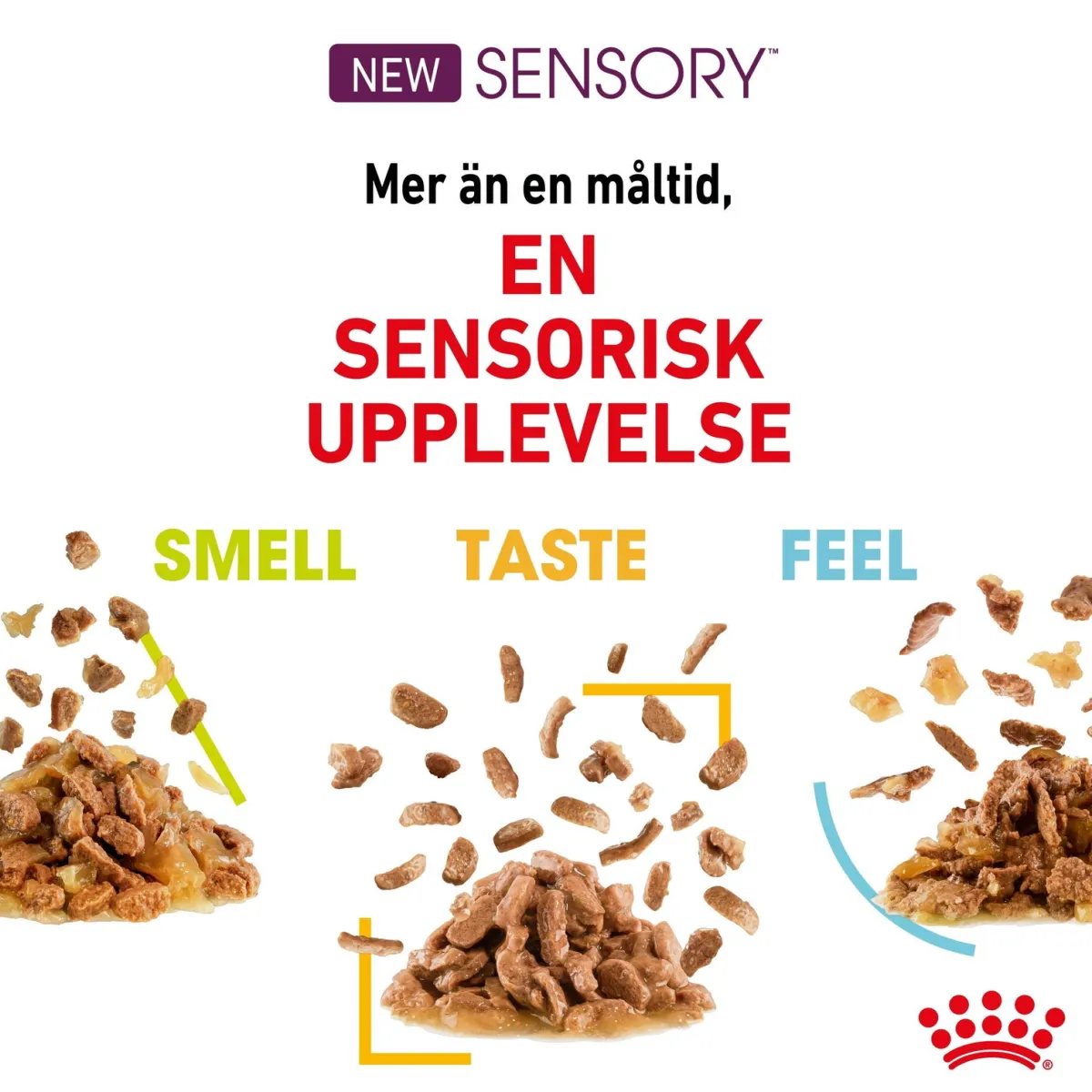 Sensory Mixed box Gravy 85g, 48-pack>Royal Canin Sale