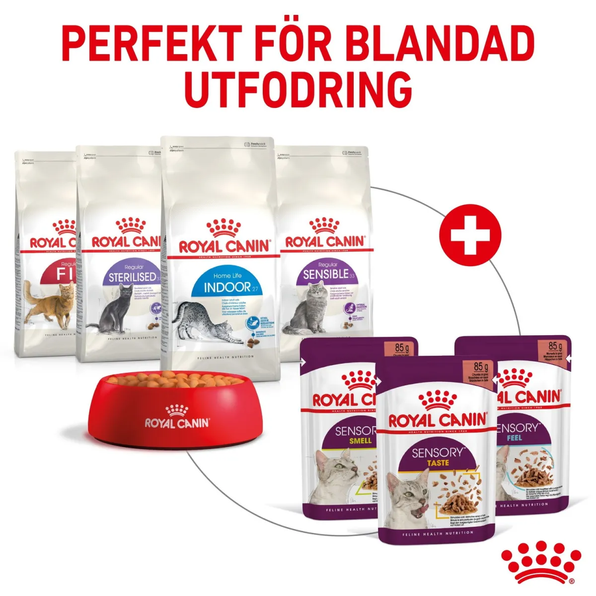 Sensory Mixed box Gravy 85g, 48-pack>Royal Canin Sale