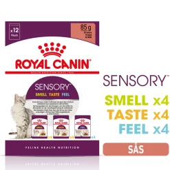 Sensory Mixed box Gravy 85g, 48-pack>Royal Canin Sale
