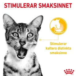 Sensory Taste Gravy 85g, 48-pack>Royal Canin Hot