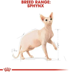 Sphynx>Royal Canin Sale