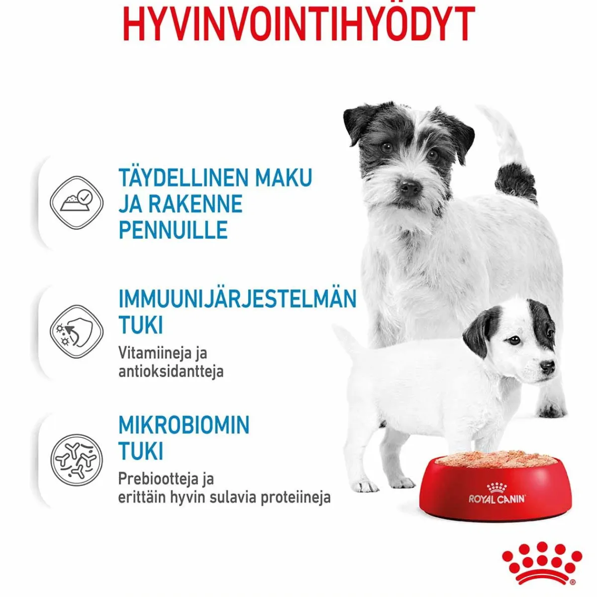 Starter Mother & Babydog>Royal Canin