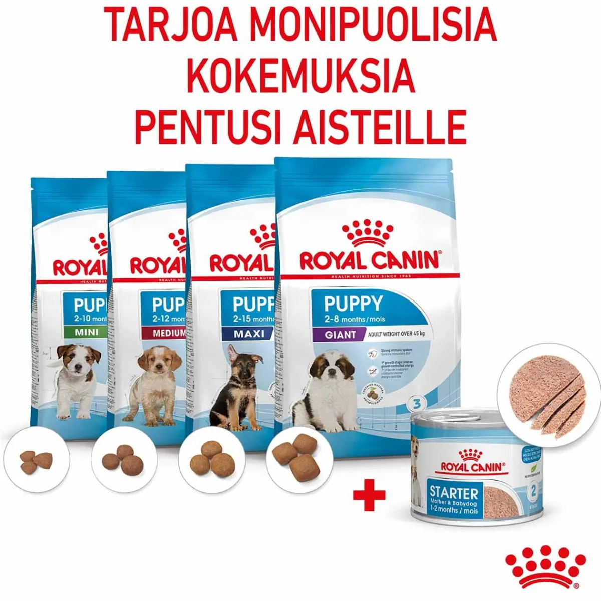 Starter Mother & Babydog>Royal Canin