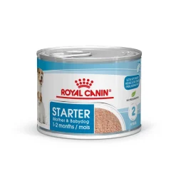 Starter Mother & Babydog>Royal Canin