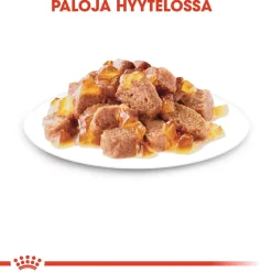 Sterilised Jelly, 12x85g>Royal Canin Sale