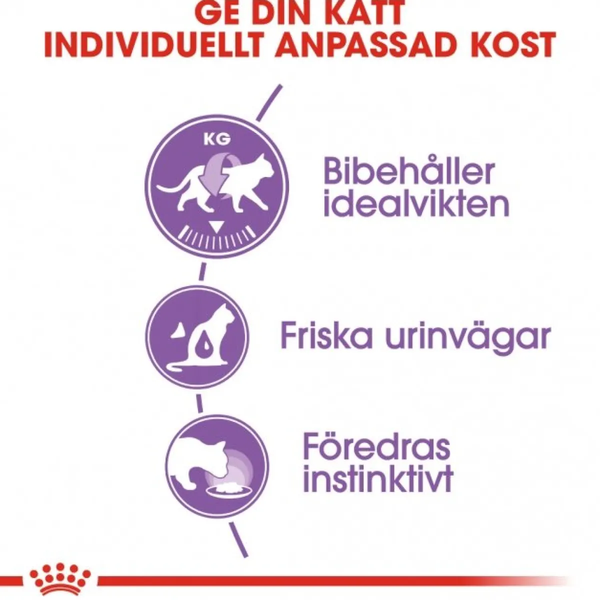 Sterilised Jelly 85g, 48-pack>Royal Canin Outlet