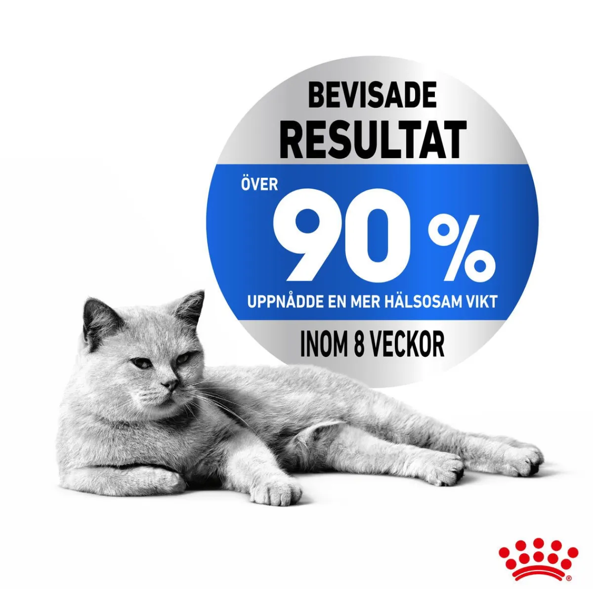 Ultra Light Gravy 85g, 48-pack>Royal Canin Clearance