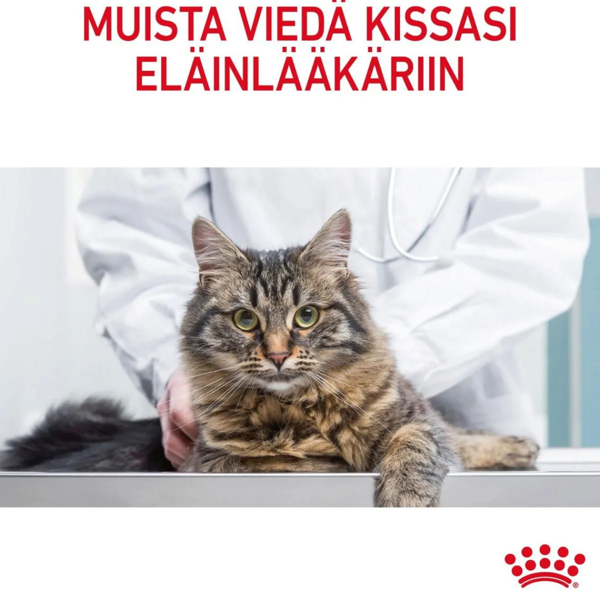 Ultra Light Jelly 85g, 48-pack>Royal Canin Best