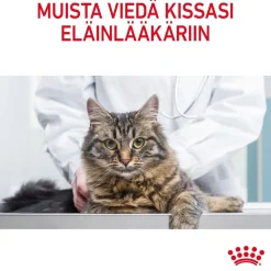 Urinary Care Gravy 12x85g>Royal Canin New